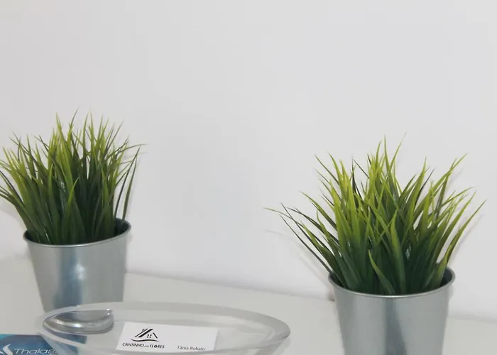 Cantinho Flores Ii * Nazaré